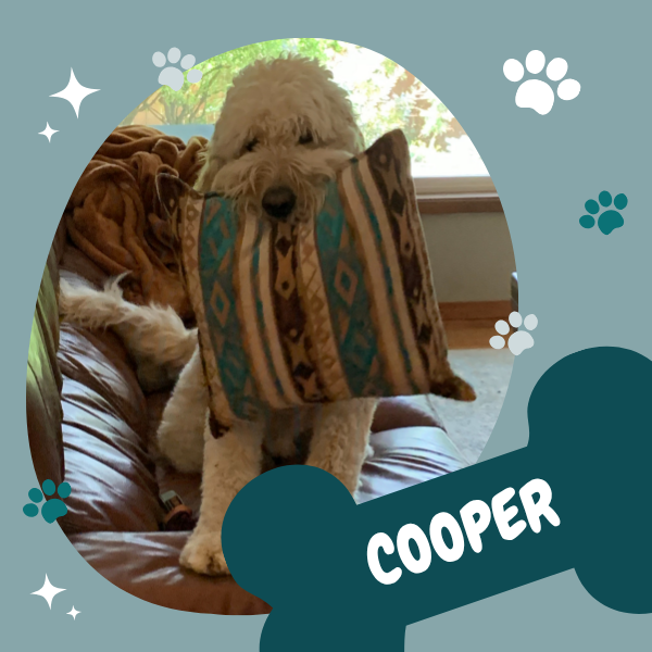 NW Timber Studio - Cooper