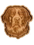 Saint Bernard Catch-All Tray - NW Timber Studio