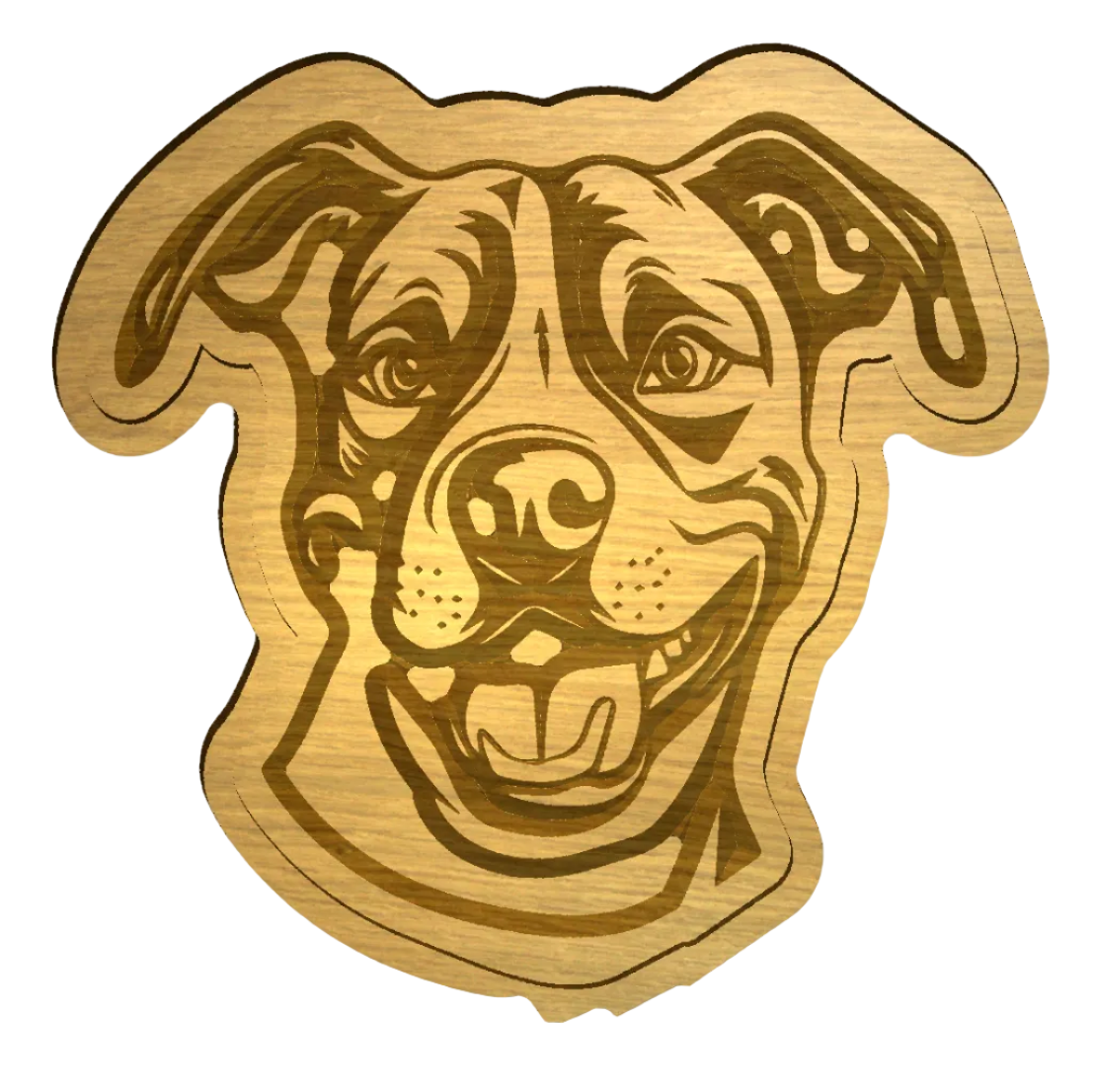 Amstaff Catch-All Tray